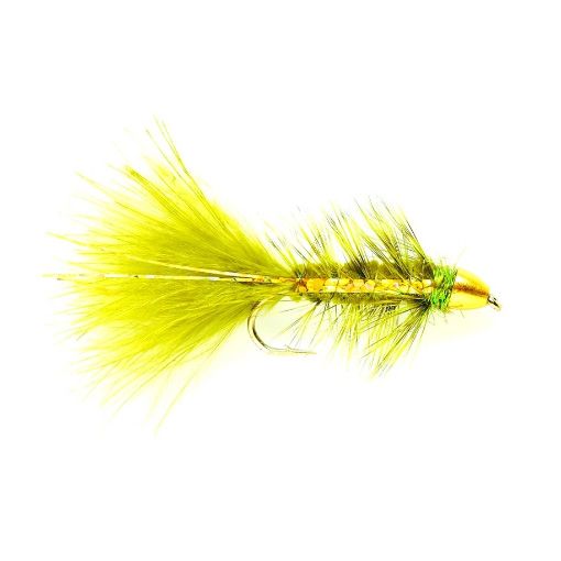 Golden Bullet Olive