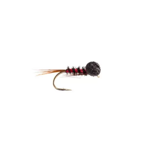 Red Holo Diawl Bach Booby