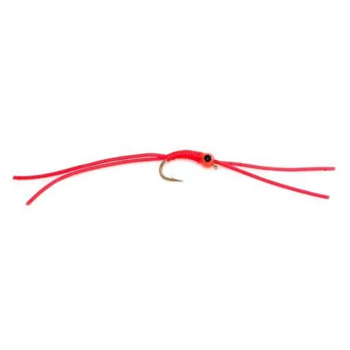 Worm Bug