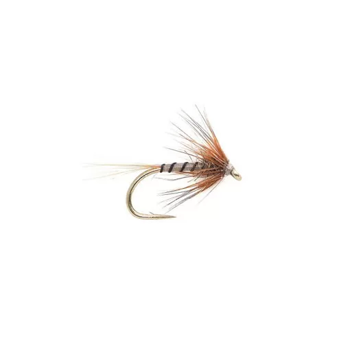 Yellow Owl Cruncher