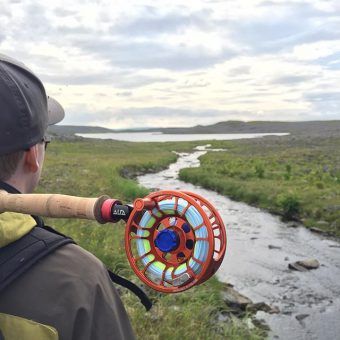 Orion flugustangir með 4-D tækni - Flugubúllan