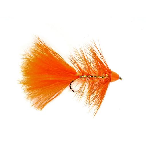 Golden Bullet Orange
