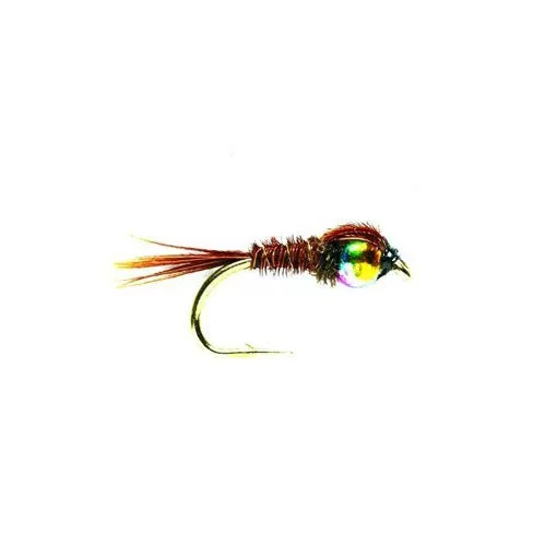 Pheasant Tail Rainbow