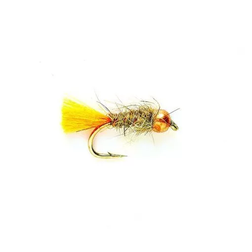 Allen Fly