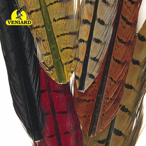Veniard Cock Pheasant - blandaðir litir í poka