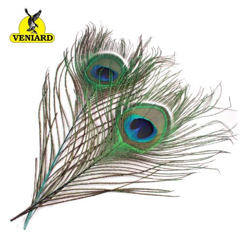 Veniard Peacock Eye Tops (Moon)