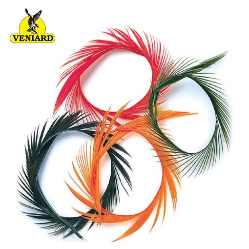 Veniard Goose Biot