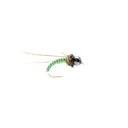 Caddis Pupae