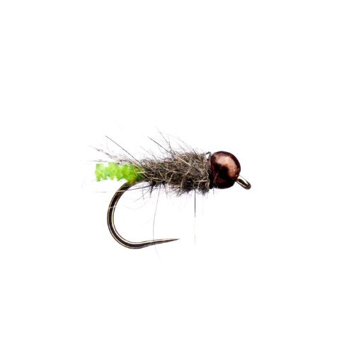Chewing Gum Caddis