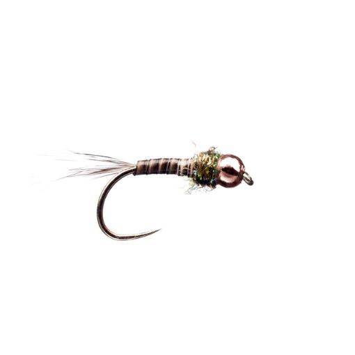 Quill Olive PTN