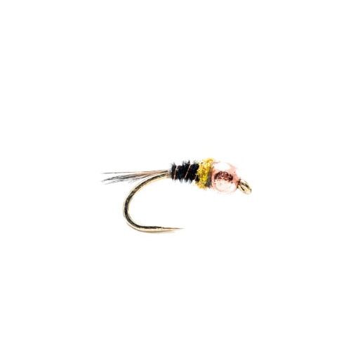Wee bomb Black and Orange PTN