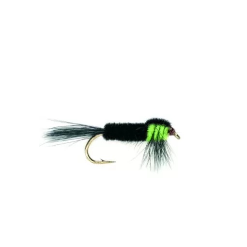 Green Montana Fluorescent