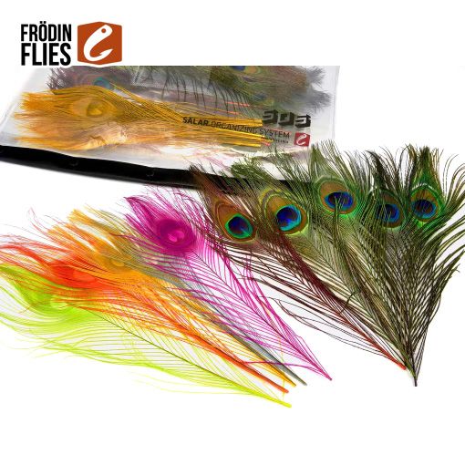 Frodin Peacock Eye Feather Pack - Flugubúllan