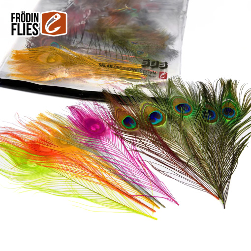 Frödin Peacock Eye fjaðrapakki
