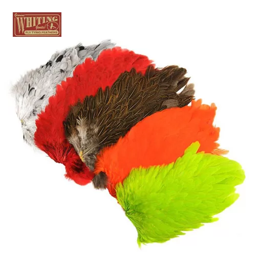 Whiting 4B Hen Saddle