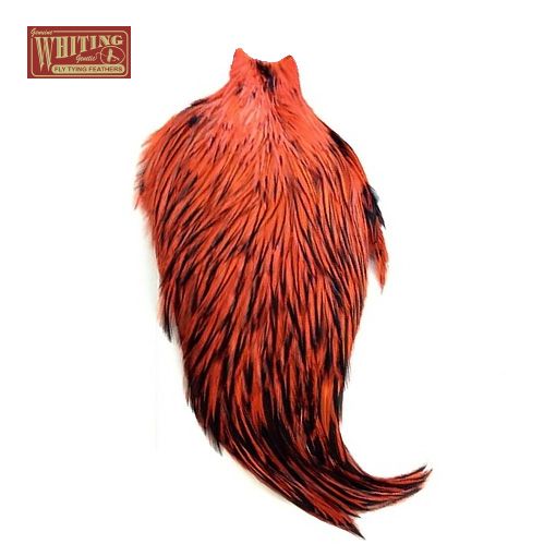 Whiting American Rooster Cape - BLW litaðar Orange
