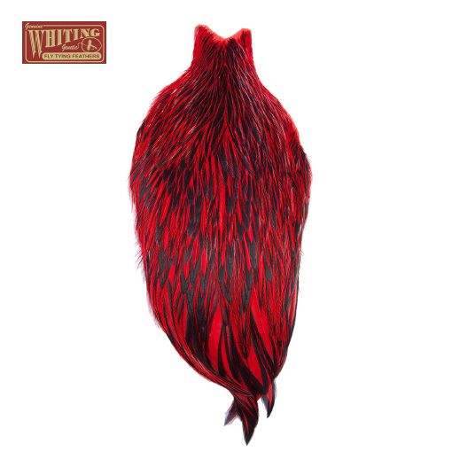 Whiting American Rooster Cape - Red