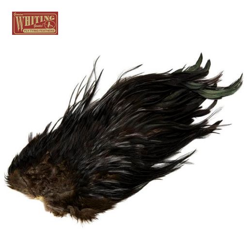 Whiting 4B Rooster Saddle - Black