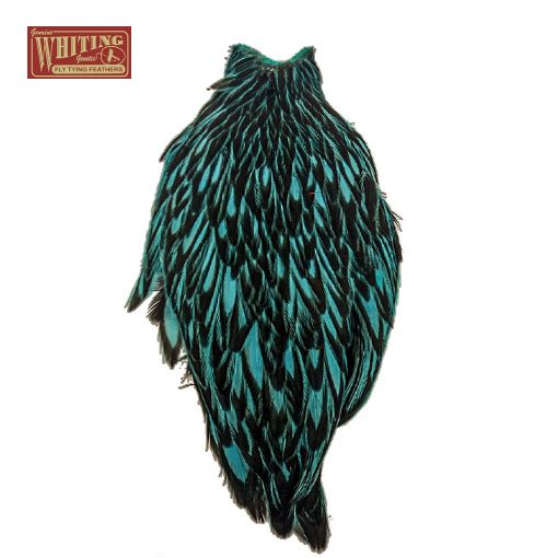Whiting American Hen Cape - BLW litaðar Silver Dr. Blue