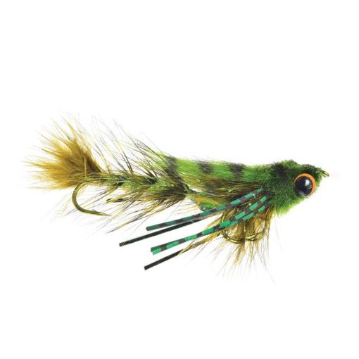 Baby Gonga #8 - Olive