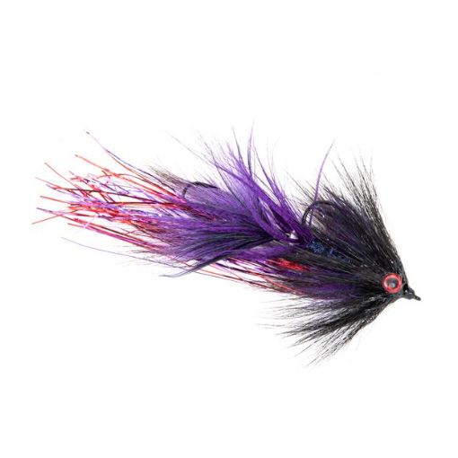 Swim Coach Baby #4 x #6 - Purple/Black