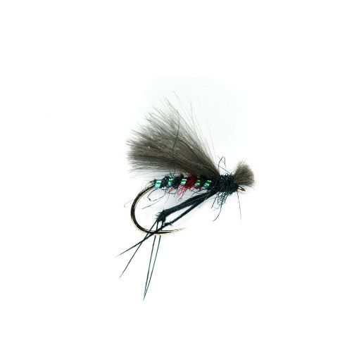 CdC Bibio - agnaldslaus