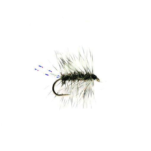 Griffith´s Gnat
