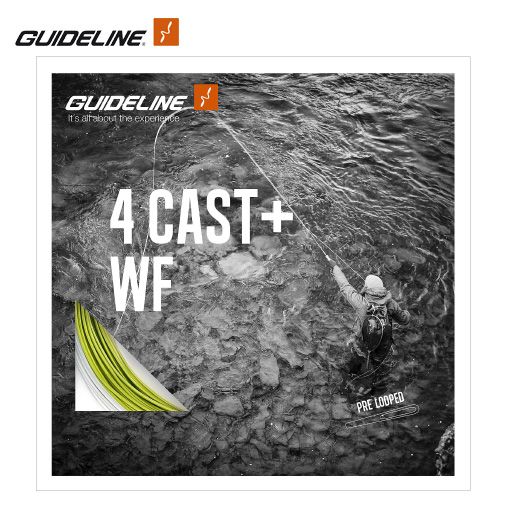 Guideline 4 Cast+