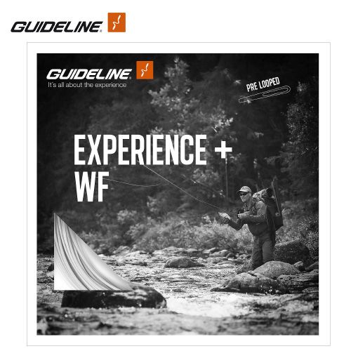 Guideline Experience+