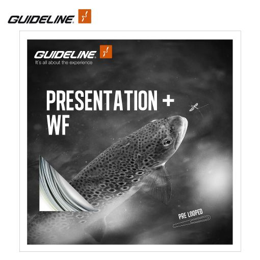 Guideline Presentation+