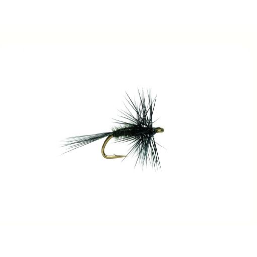 Midge Black