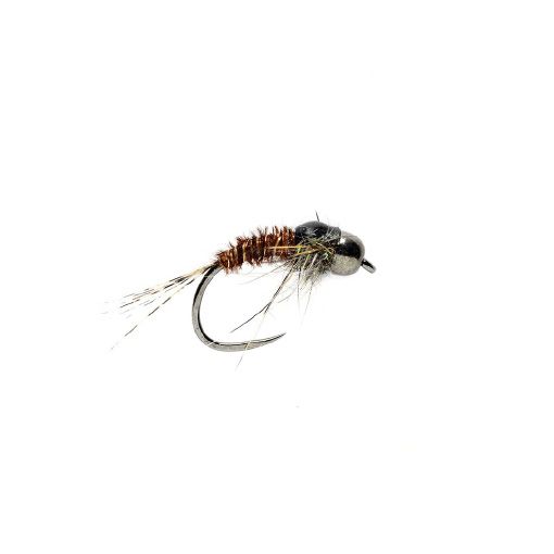 PTN Grub