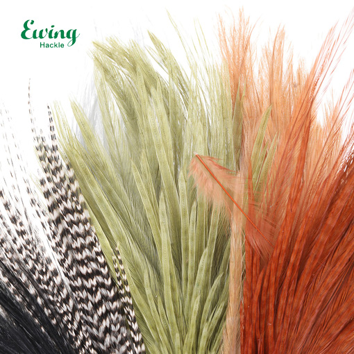Ewing 14's & 16's Dry Fly Mini Pack - margir litir
