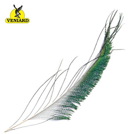Veniard Peacock Sword Tails