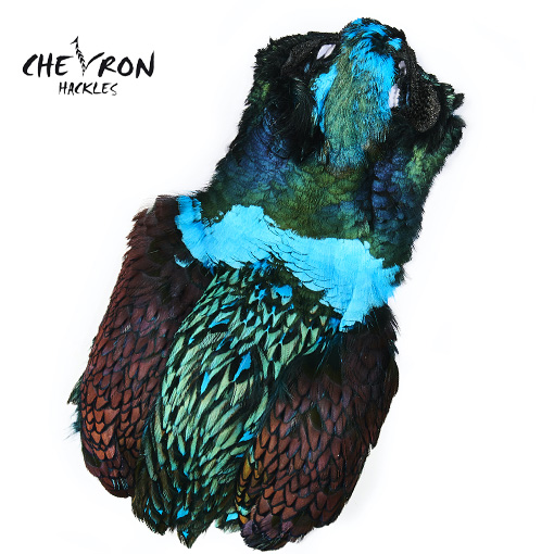Chevron Hanahnakki af Fasana