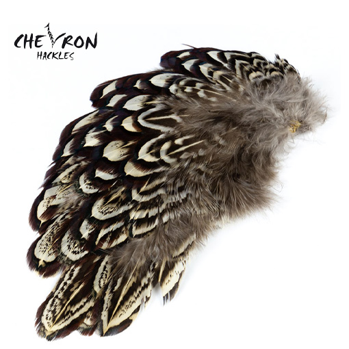 Chevron Pheasant Shoulder