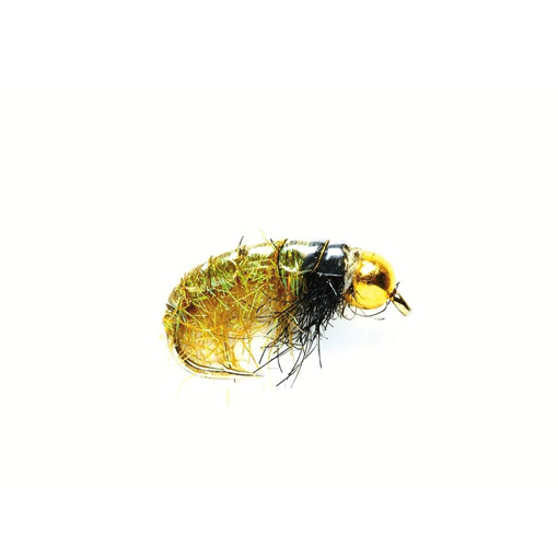 D/Charge Glister Shrimp