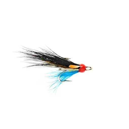 Micro Arndilly Fancy