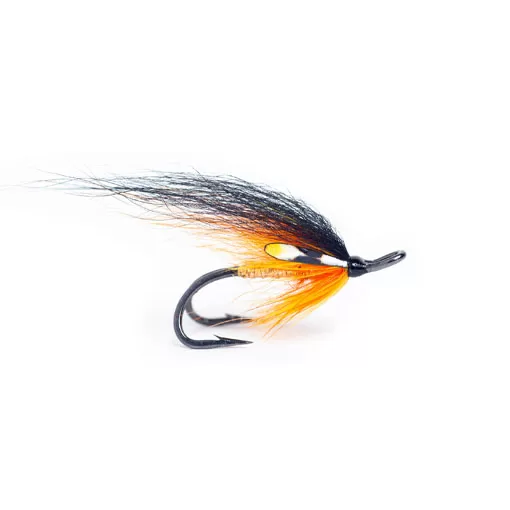 TS Willy Gunn