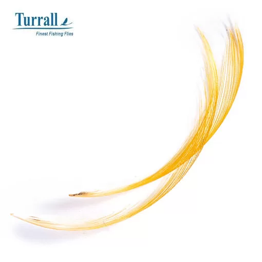 Turrall Golden Pheasant Crest