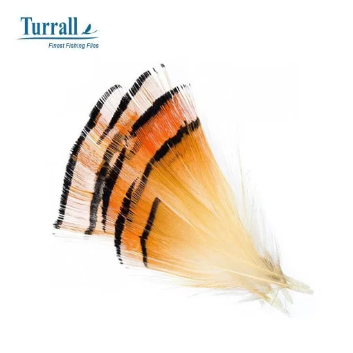 Turrall Golden Pheasant Tippet