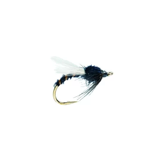 Buzzer Black Adult