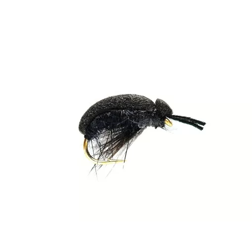Carnhill´s Foam Beetle