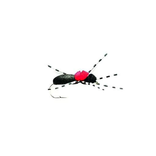 Hi-Vis Black Foam Ant