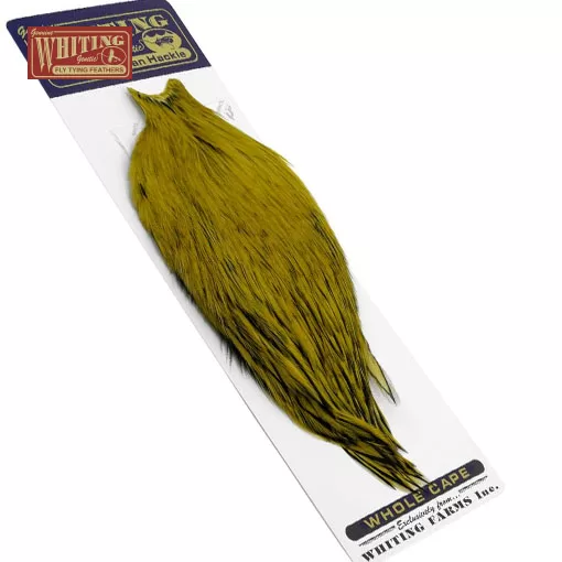 Whiting American Rooster Cape BLW - litaður Golden Olive