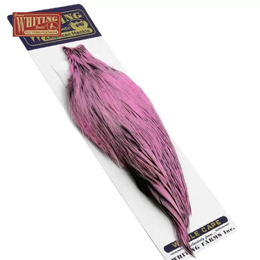 Whiting American Rooster Cape BLW - litaður Shell Pink