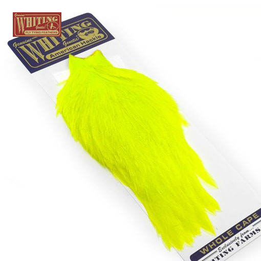 Whiting American Rooster Cape - litaður Fl. Yellow Chartreuse