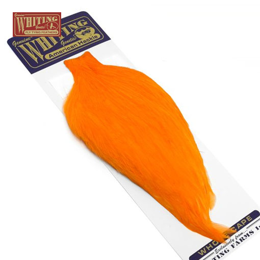 Whiting American Rooster Cape - litaður Shrimp Orange